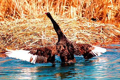 RPG经典系列最新作《仙剑奇侠传七》主机版场景介绍