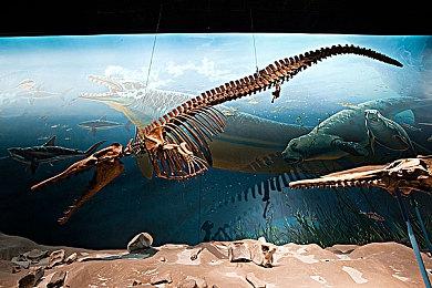 《主播女孩重度依赖》衍生小游戏合集发售