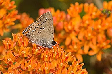 《Galeid.》免费登陆Steam 恐怖冒险RPG